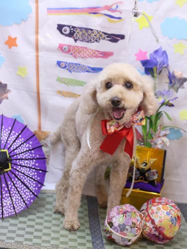 20240502ココアちゃん